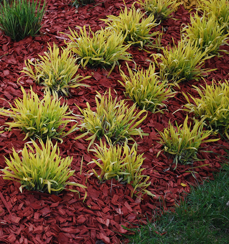 Residential Mulch Services Near Me South Dallas Turf & Supply